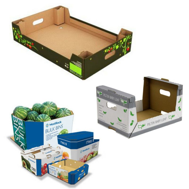 cajas de carton uso agricola leon gto 